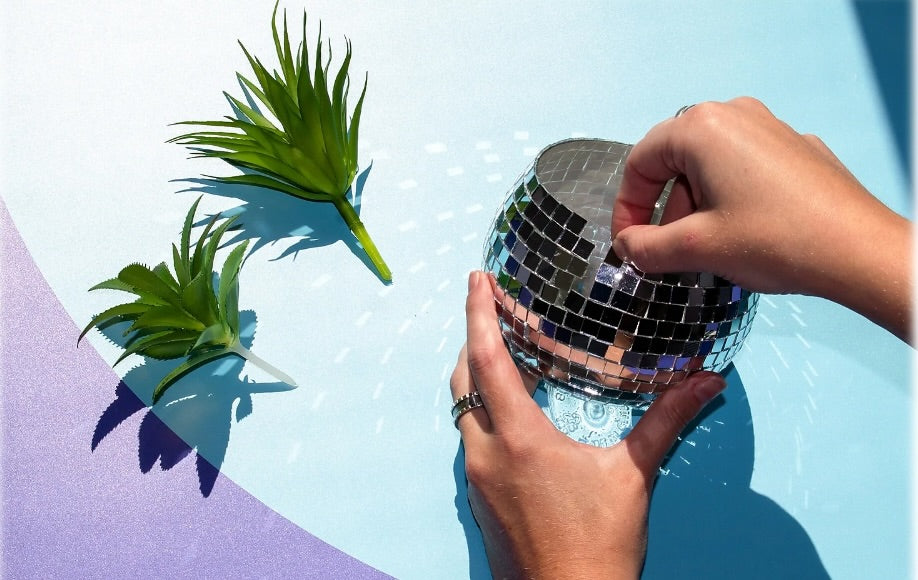 Make Your Own Disco Planter Kit