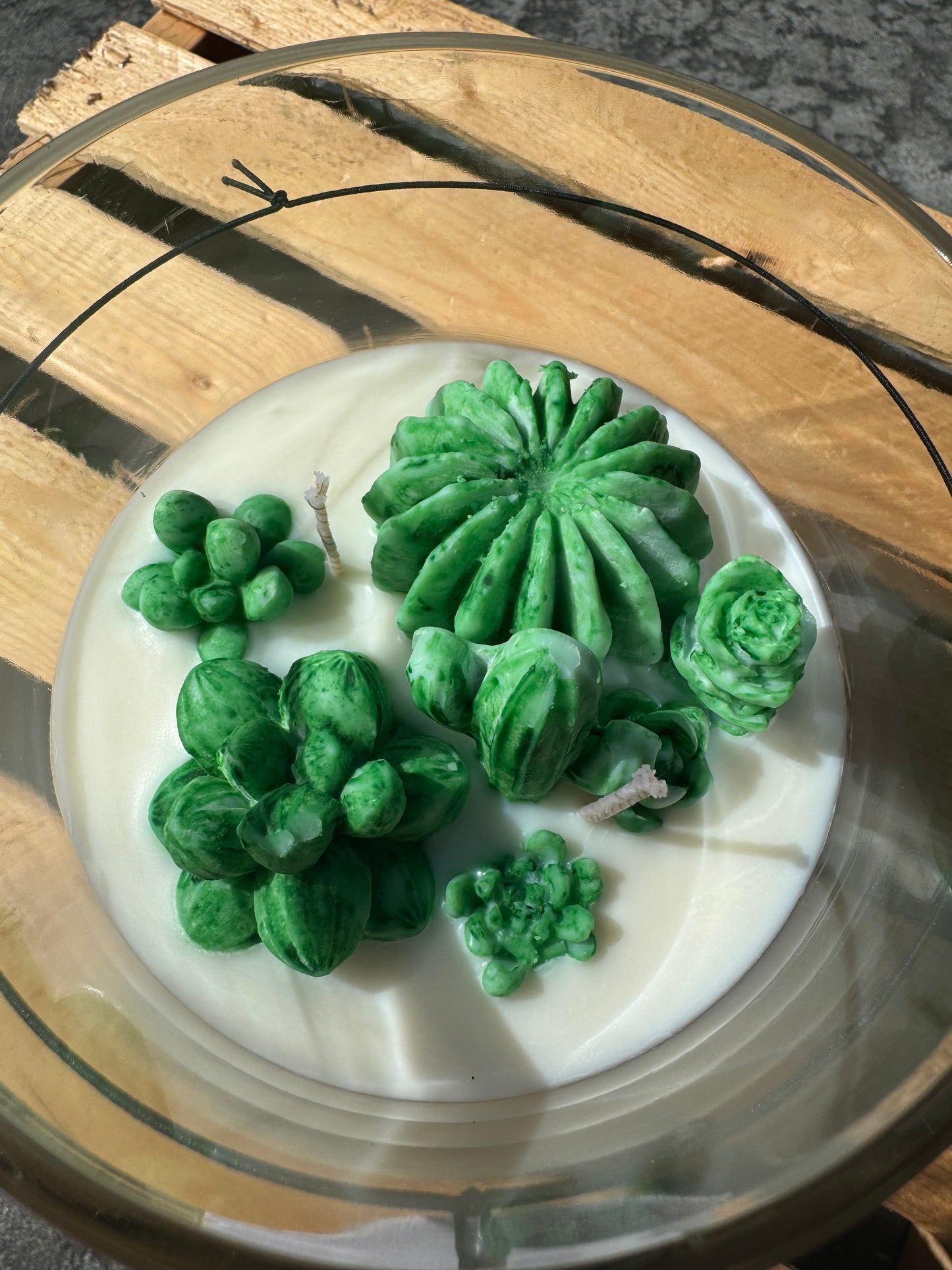 Large succulent glass candle