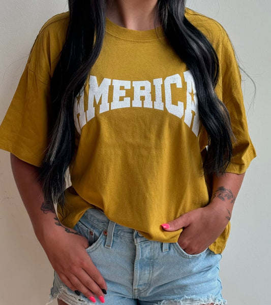 America Star Graphic Crop Tee